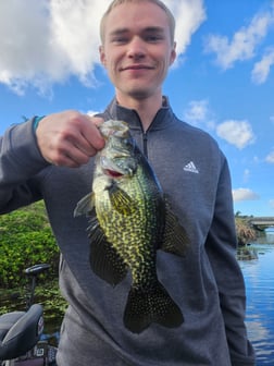 Fishing in Fort Lauderdale, Florida