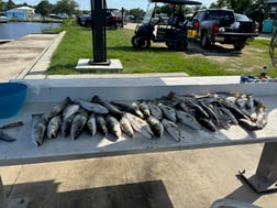 Fishing in Bay St. Louis, Mississippi