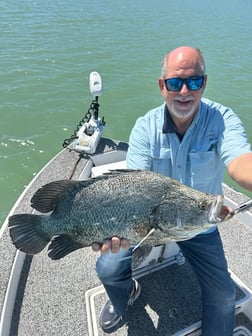 Fishing in Marco Island, Florida