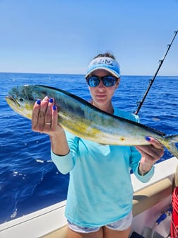 Fishing in Fort Lauderdale, Florida