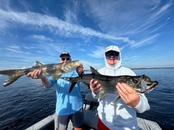 Fishing in Punta Gorda, Florida