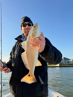 Fishing in Katy, Texas