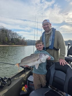 Fishing in Harrison, Tennessee