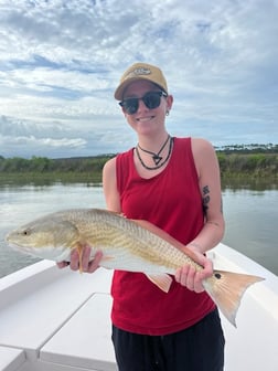 Fishing in Apalachicola, Florida