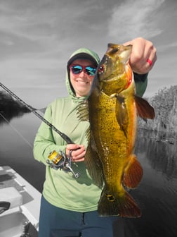 Hunting in Fort Lauderdale, Florida