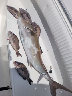 Fishing in Wrightsville Beach, North Carolina