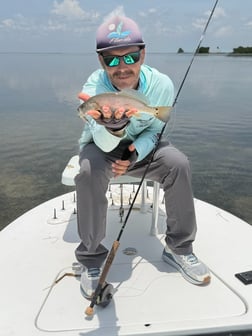 Fishing in Key Largo, Florida