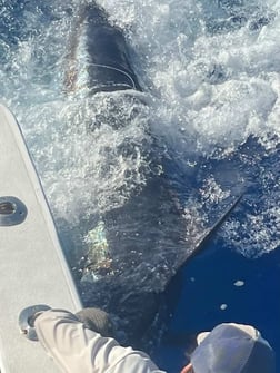 Fishing in Kailua-Kona, Hawaii