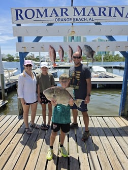 Fishing in Orange Beach, Alabama