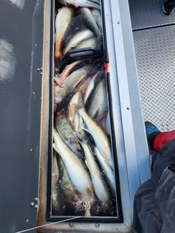 Fishing in Lorain, Ohio