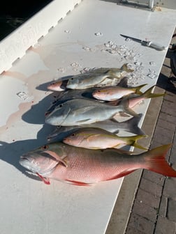 Fishing in Key West, Florida