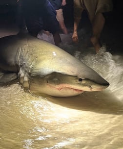 Fishing in Destin, Florida