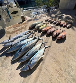 Fishing in Islamorada, Florida