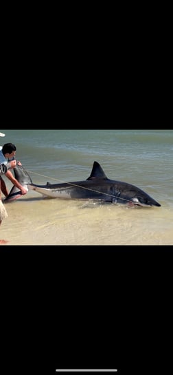 Fishing in Destin, Florida
