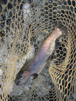 Fishing in Broken Bow, Oklahoma