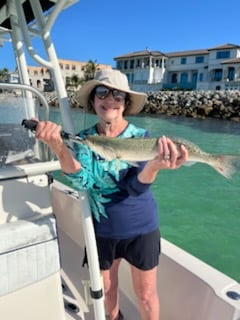 Fishing in Sarasota, Florida