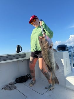 Fishing in Panama City, Florida