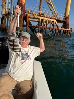 Fishing in Gulf Shores, Alabama
