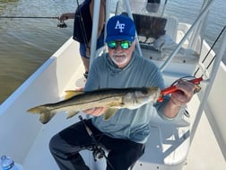 Fishing in St. Petersburg, Florida