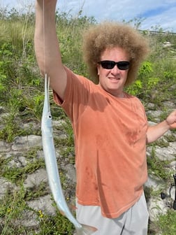 Fishing in Sarasota, Florida