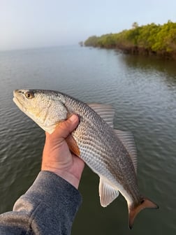Fishing in Crystal River, Florida