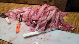 Fishing in South Padre Island, Texas