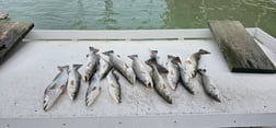 Fishing in Port Isabel, Texas