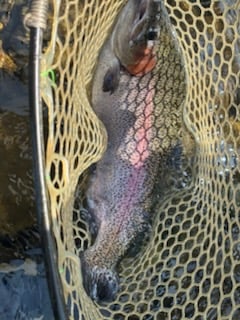 Fishing in Broken Bow, Oklahoma