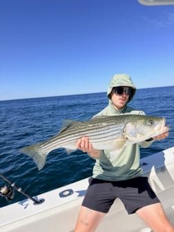 Fishing in Truro, Massachusetts