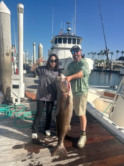 Fishing in Long Beach, California