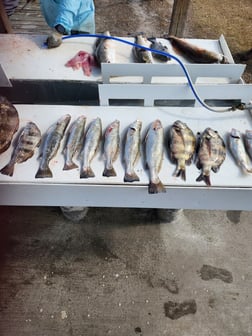 Fishing in Port Aransas, Texas