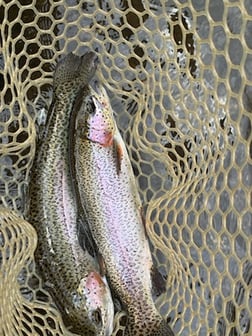 Fishing in Broken Bow, Oklahoma