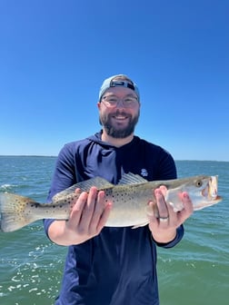 Fishing in Tarpon Springs, Florida