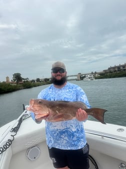 Fishing in Venice, Florida
