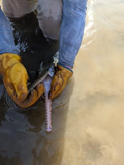 Fishing in Granbury, Texas