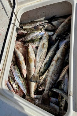 Fishing in Gulfport, Mississippi