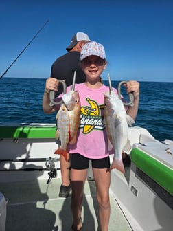 Fishing in Port Orange, Florida