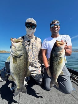 Fishing in Los Angeles, California
