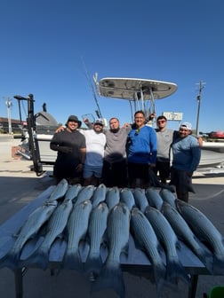 Fishing in Little Elm, Texas