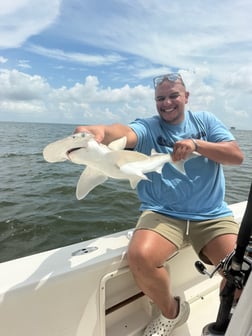 Fishing in Gulf Shores, Alabama