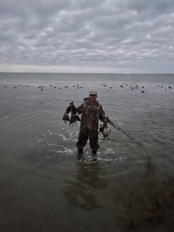 Hunting in Freeport, Texas