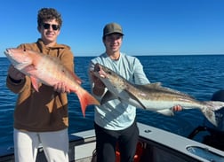 Fishing in Naples, Florida