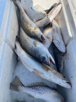 Fishing in Slidell, Louisiana