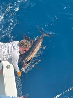 Fishing in Quepos, Costa Rica