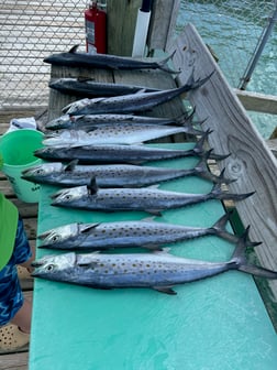 Fishing in Treasure Island, Florida