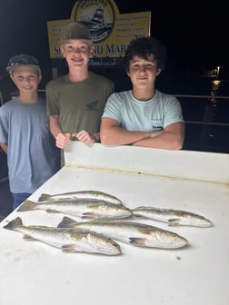 Fishing in Pensacola, Florida