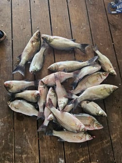 Fishing in Kingston, Oklahoma