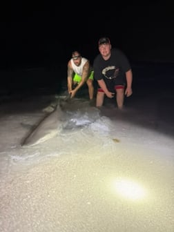 Fishing in Cape Coral, Florida