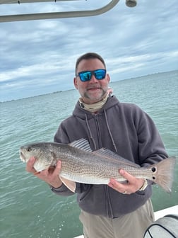 Fishing in Sarasota, Florida