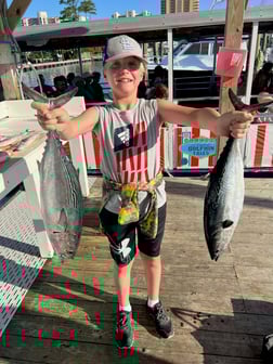 False Albacore, Red Snapper, Spanish Mackerel Fishing in Orange Beach, Alabama